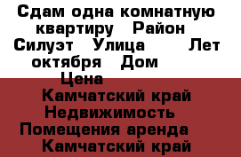 Сдам одна комнатную квартиру › Район ­ Силуэт › Улица ­ 50. Лет октября › Дом ­ 20 › Цена ­ 20 000 - Камчатский край Недвижимость » Помещения аренда   . Камчатский край